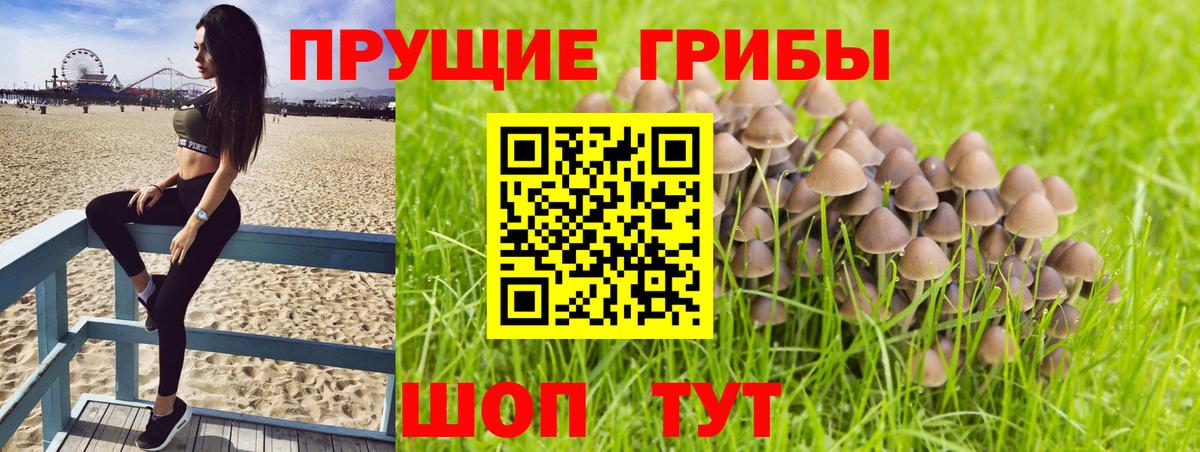 Галлюциногенные грибы GOLDEN TEACHER Пермь